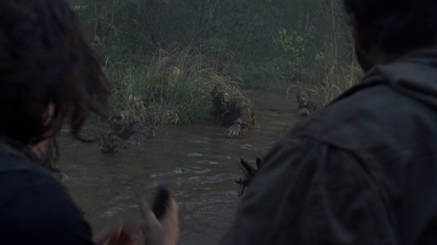 twd0811-1322.jpg