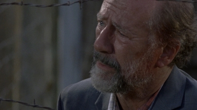 twd0811-2441.jpg