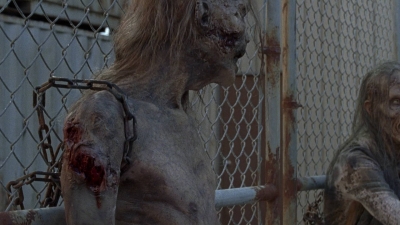 twd0811-2484.jpg