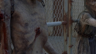 twd0811-2485.jpg