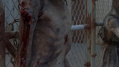 twd0811-2486.jpg