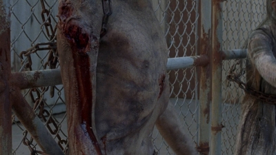 twd0811-2487.jpg