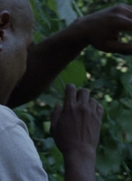 twd0811-0289.jpg