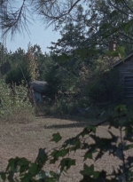 twd0811-0299.jpg