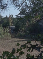 twd0811-0300.jpg