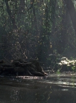 twd0811-1276.jpg