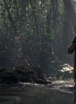 twd0811-1277.jpg