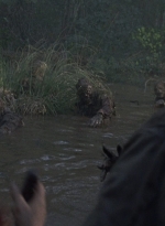 twd0811-1322.jpg