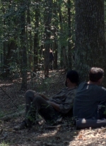 twd0811-1332.jpg