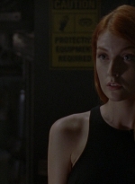 twd0811-2195.jpg