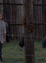 twd0811-2403.jpg
