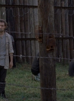 twd0811-2405.jpg