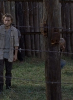 twd0811-2410.jpg