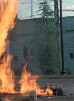 twd0812-1801.jpg