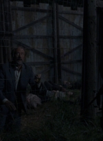 twd0813-1872.jpg