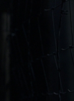 twd0813-1892.jpg