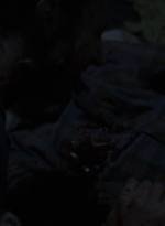 twd0813-2006.jpg