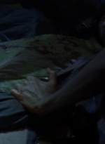 twd0813-2013.jpg