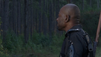 twd0814-1031.jpg