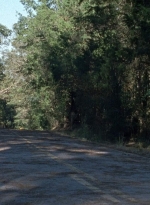twd0814-0941.jpg
