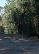 twd0814-0942.jpg
