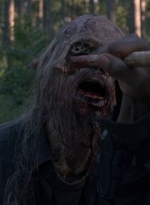 twd0814-0980.jpg
