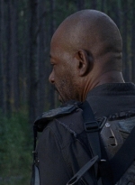 twd0814-1010.jpg