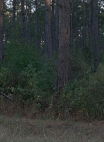 twd0814-1088.jpg