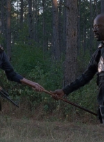 twd0814-1095.jpg