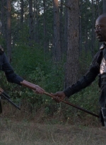 twd0814-1097.jpg