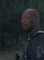twd0814-1100.jpg
