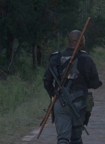 twd0814-1105.jpg