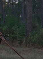 twd0814-1108.jpg