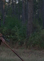 twd0814-1109.jpg