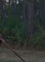 twd0814-1110.jpg