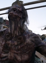 twd0814-1219.jpg