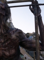 twd0814-1224.jpg