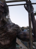 twd0814-1238.jpg