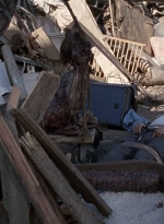 twd0814-1301.jpg