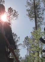 twd0814-1364.jpg