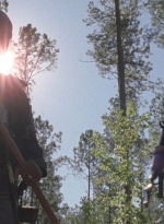 twd0814-1365.jpg