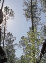 twd0814-1370.jpg