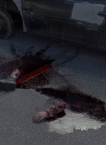 twd0814-1380.jpg