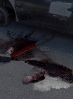 twd0814-1382.jpg