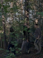twd0815-0536.jpg
