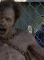 twd0815-1075.jpg