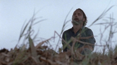 twd0816-1682.jpg