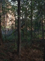 twd0816-1461.jpg