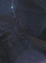 twd0816-1598.jpg