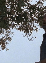 twd0816-1688.jpg